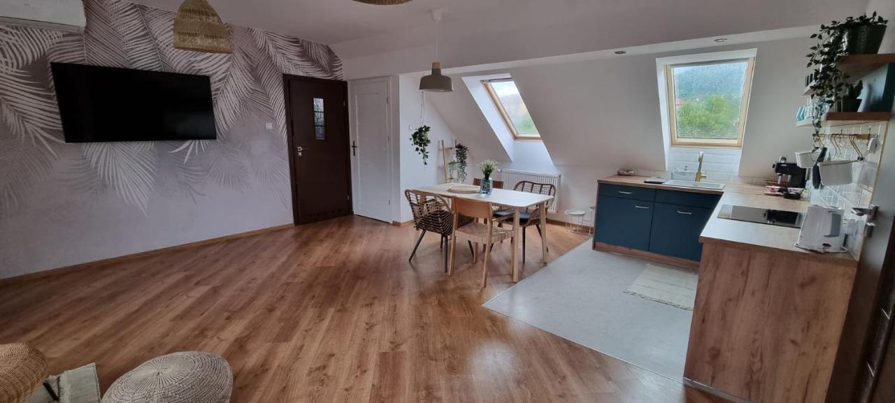 Apartament W Centrum - Nasze Poddasze Ustrzyki Dolne Exterior foto